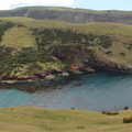 DSC00488